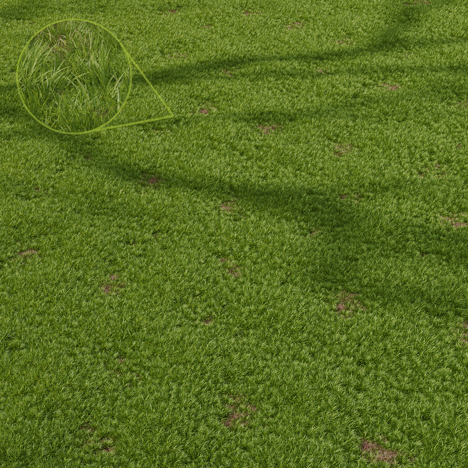HQ Grass Beautiful Green Lawn Relaxation